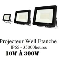 Projecteur LED WELL CN 6500K